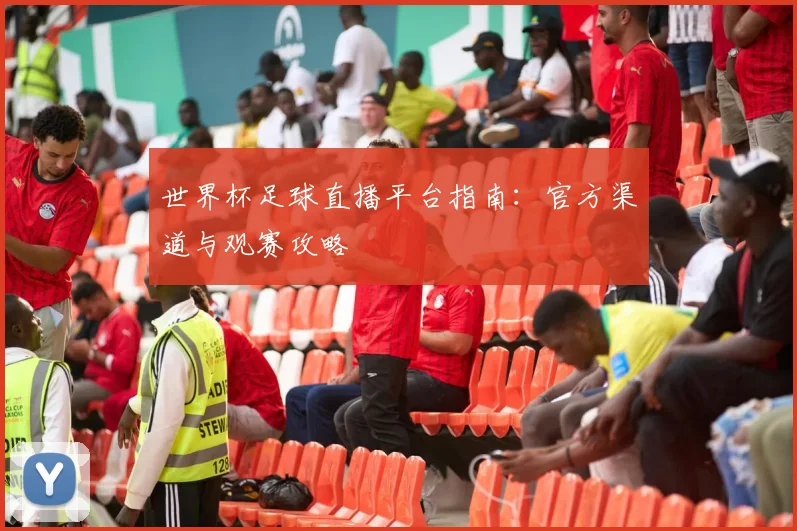世界杯足球直播平台指南：官方渠道与观赛攻略