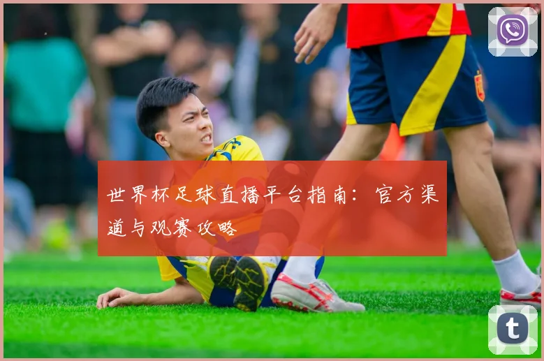 世界杯足球直播平台指南：官方渠道与观赛攻略